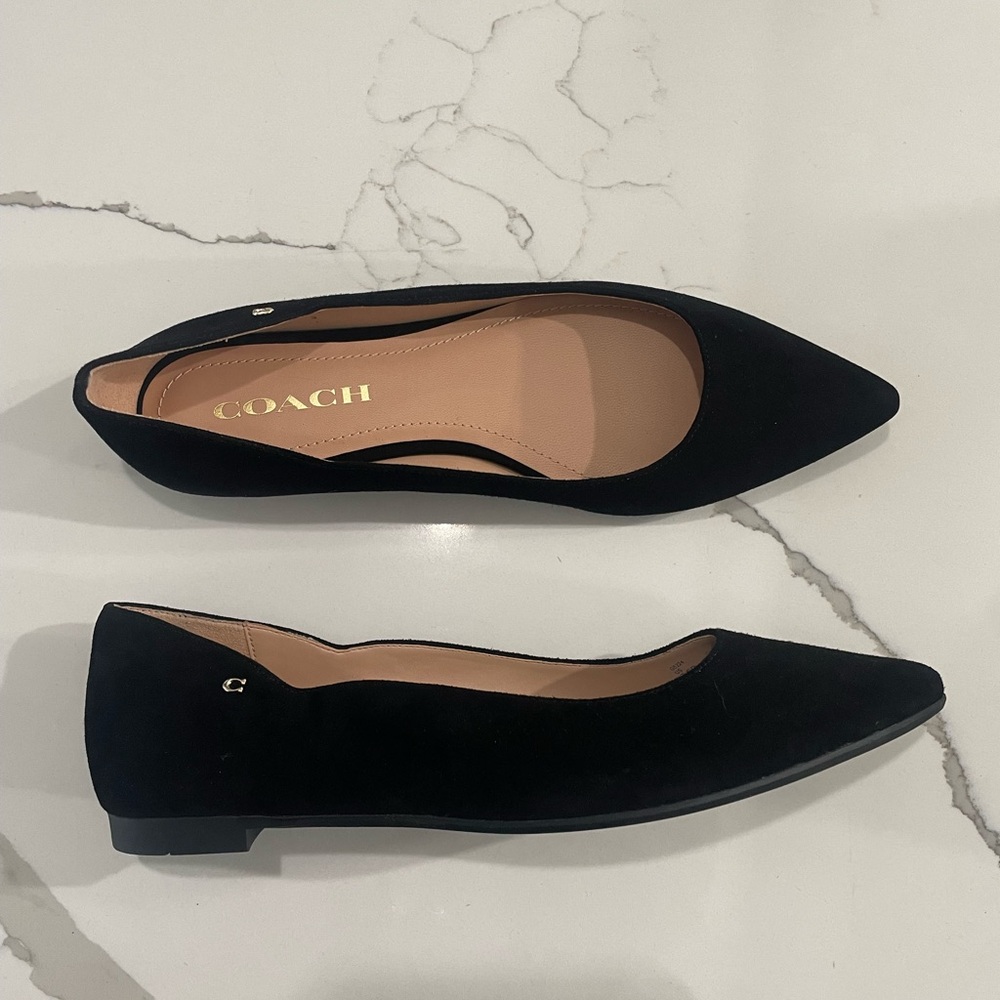 Coach Black Suede Pointed Toe Flats